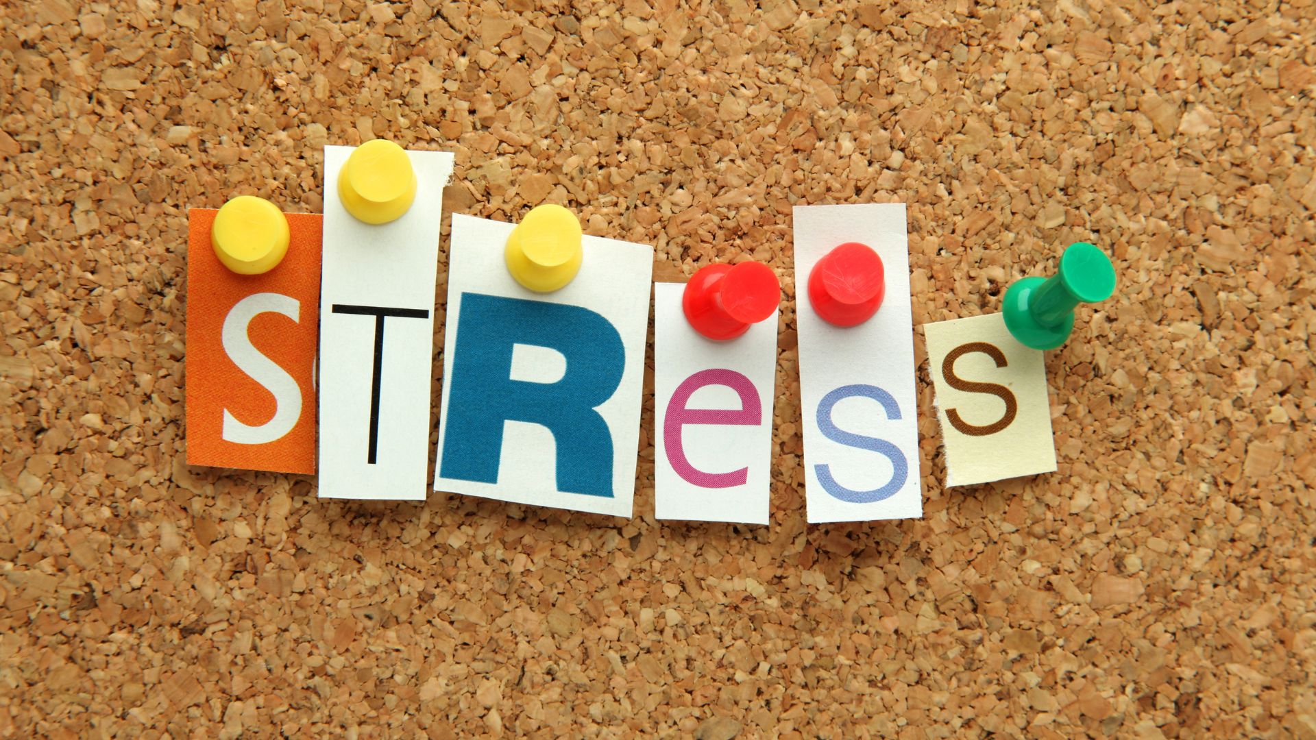 Azima-Workshop: Stress und seine Auswirkungen auf die mentale Gesundheit